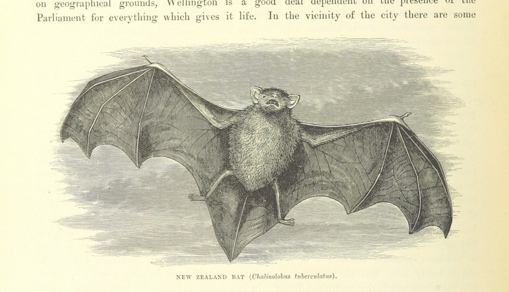 Чему я научилась, пока училась на доулу